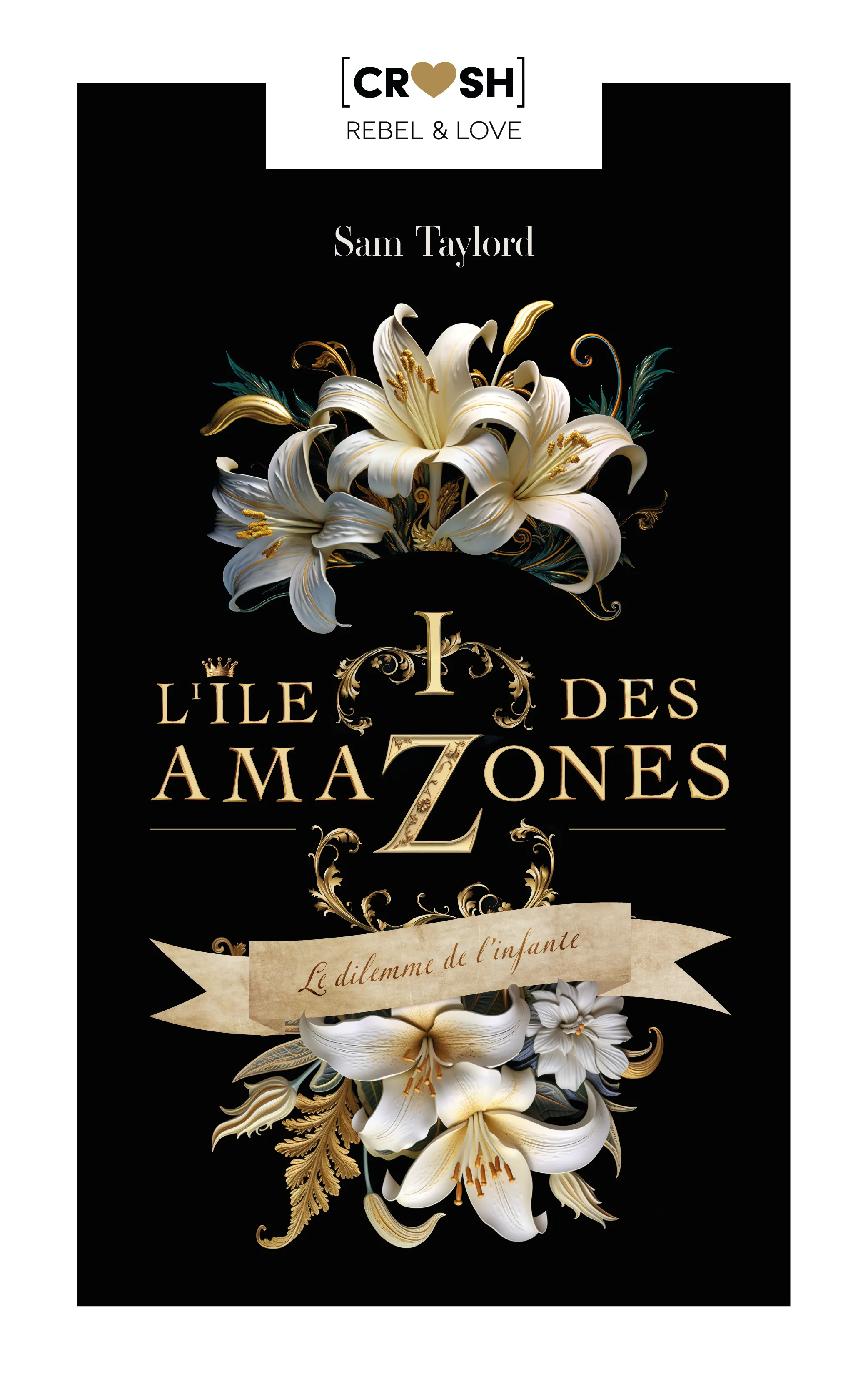 Couverture de L'île des Amazones
